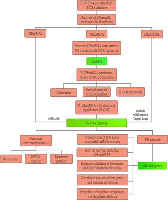 Identification of Prognostic Biomarkers and Correlation With Immune Infiltrates in Hepatocellular Carcinoma Based on a Competing Endogenous RNA Network